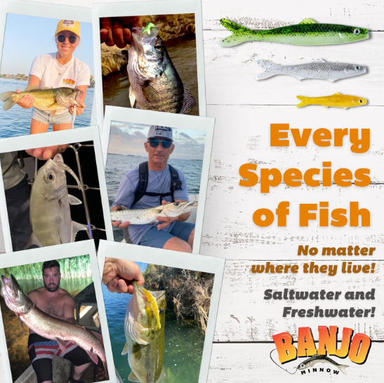 as seen on tv banjo minnow 006 fishing lures Original Banjo Minnow 006