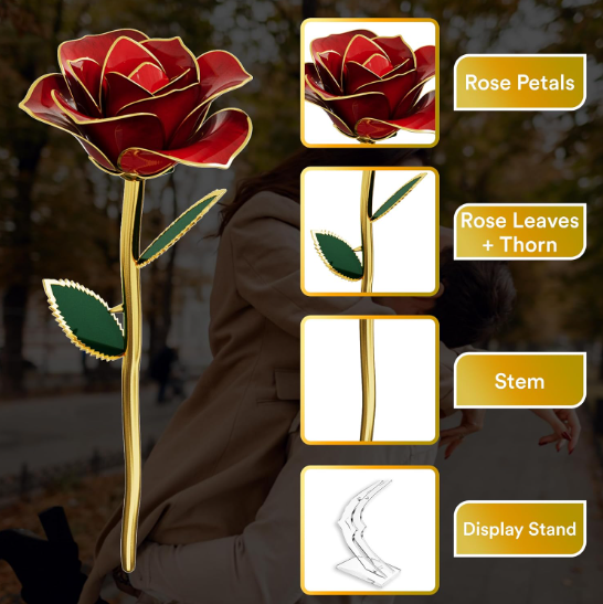 Authentic Real Rose Dipped in Gold For Valentine's Day, Gifts For Her.