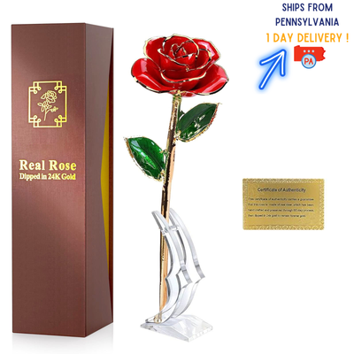 Real Rose Dipped in 24K Gold for Mother's Day, Birthday Gifts, Valentine's Day.