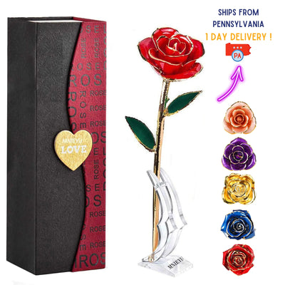 Real Rose Dipped in 24K GOLD For Valentine's Day 2025, Gifts For Her, Love Girlfriend.