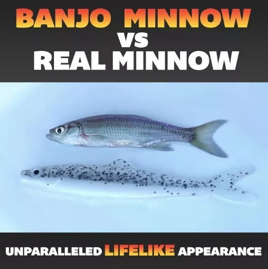 Original Banjo Minnow 006